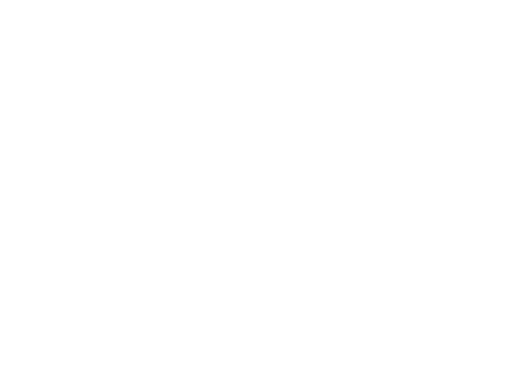 Phyneo | Website Design | Animation Video